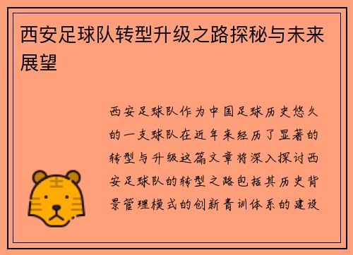 西安足球队转型升级之路探秘与未来展望