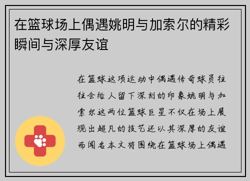 在篮球场上偶遇姚明与加索尔的精彩瞬间与深厚友谊