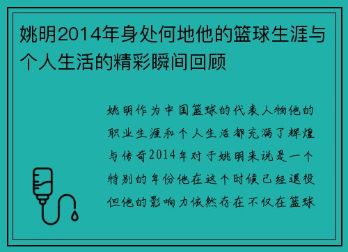 姚明2014年身处何地他的篮球生涯与个人生活的精彩瞬间回顾